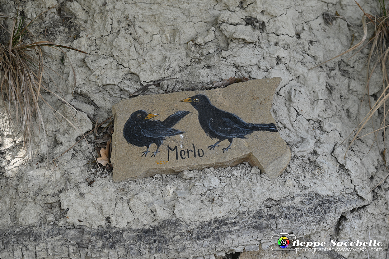 VBS_3159 - Mango (Cuneo) - Gnomovia.jpg